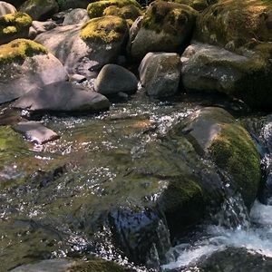 Meet your Posher, Rylan